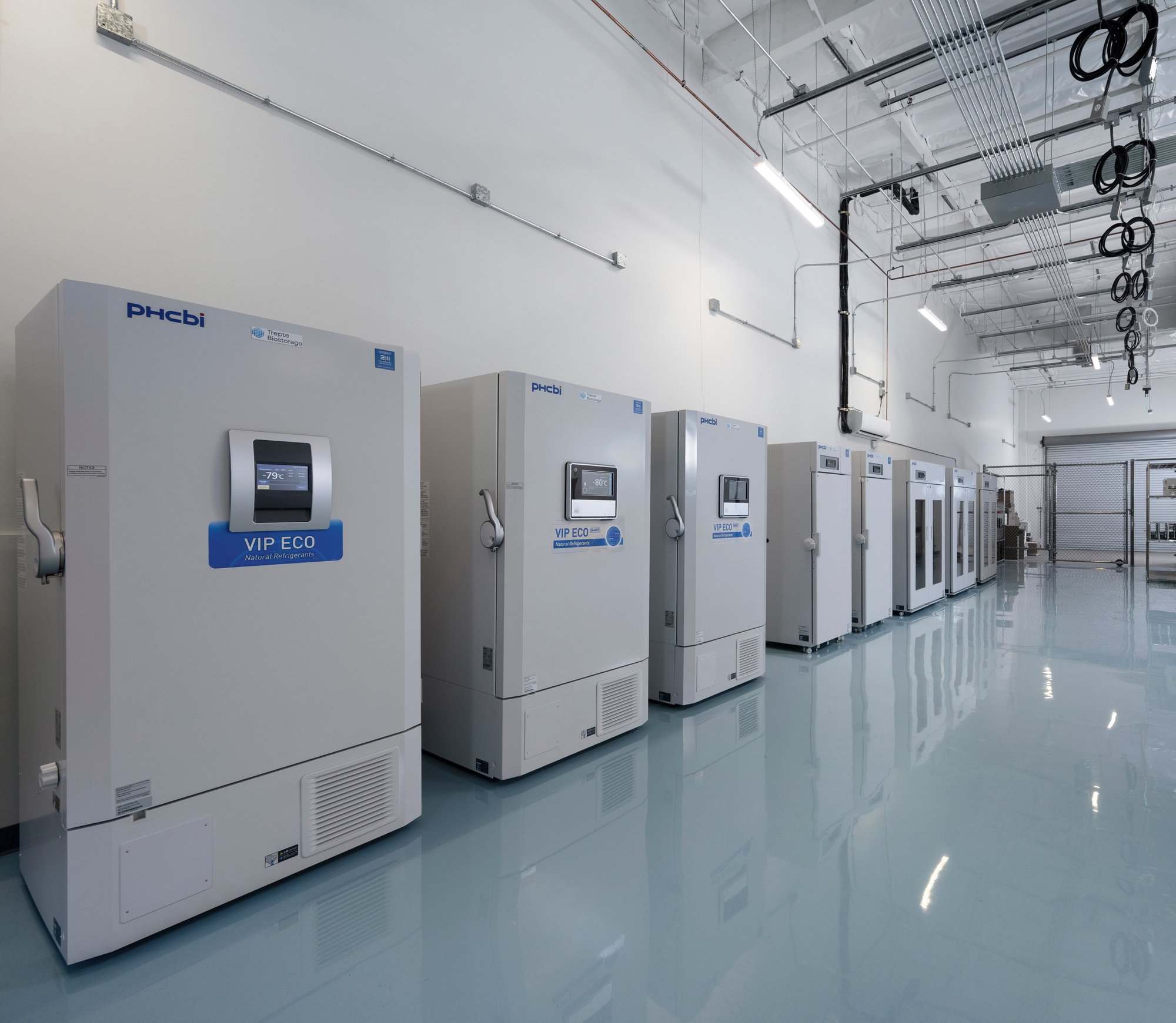 Row of PHCbi VIP ECO –80°C ultralow temperature freezers inside Trepte Biostorage’s purpose-built San Diego facility.