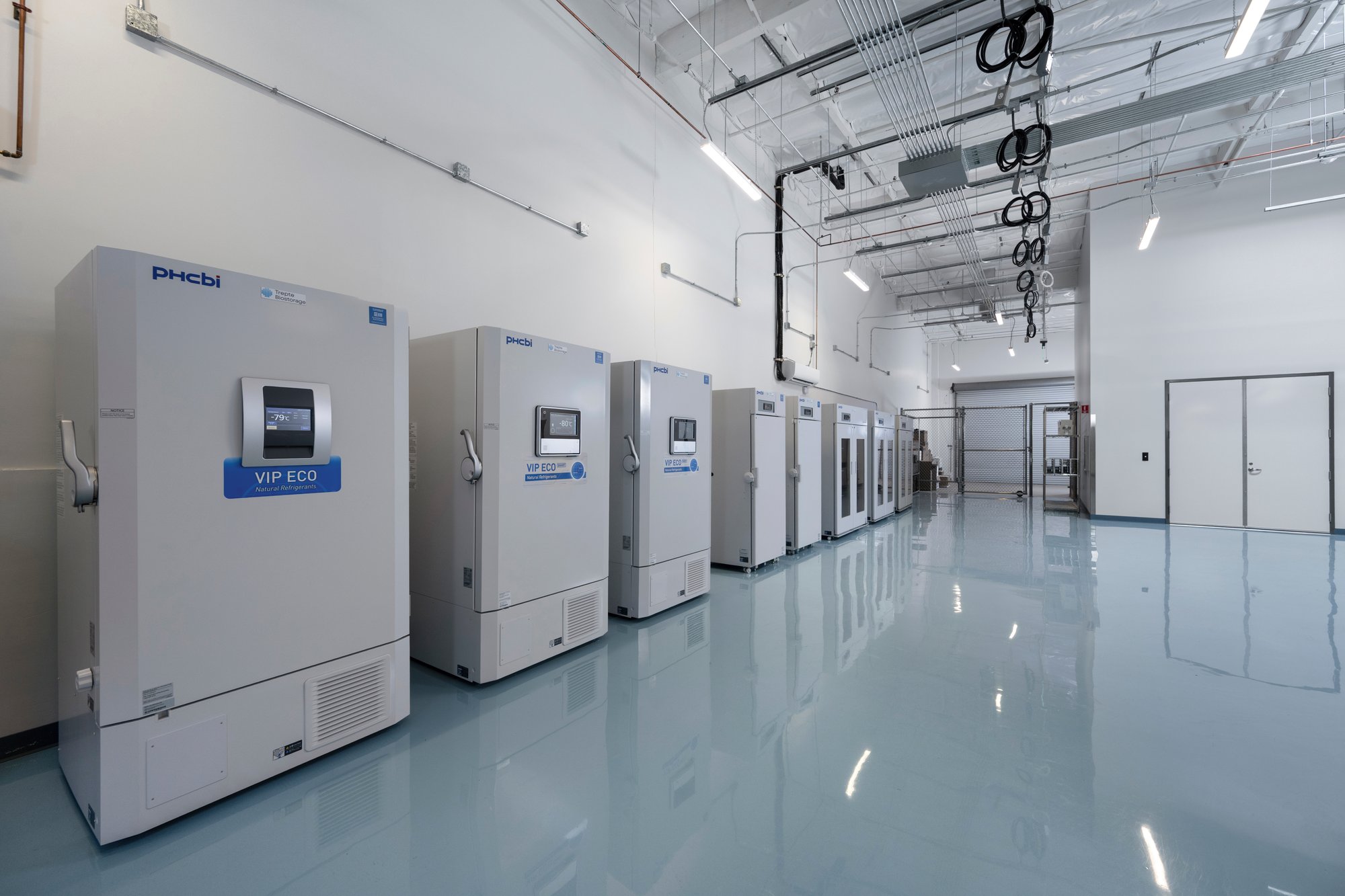 Ultra-low temperature (–80 °C) biological sample storage area at Trepte Biostorage’s San Diego facility Ultra-low temperature (–80 °C) biological sample storage area at Trepte Biostorage’s San Diego facility