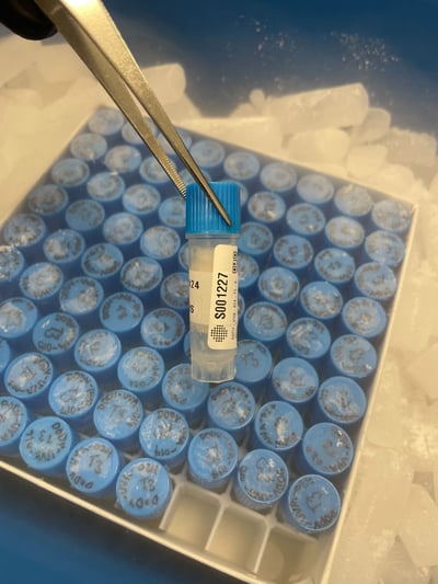 Sample being barcoded on dry ice for –80 °C storage at Trepte Biostorage. Sample being barcoded on dry ice for –80 °C storage at Trepte Biostorage.