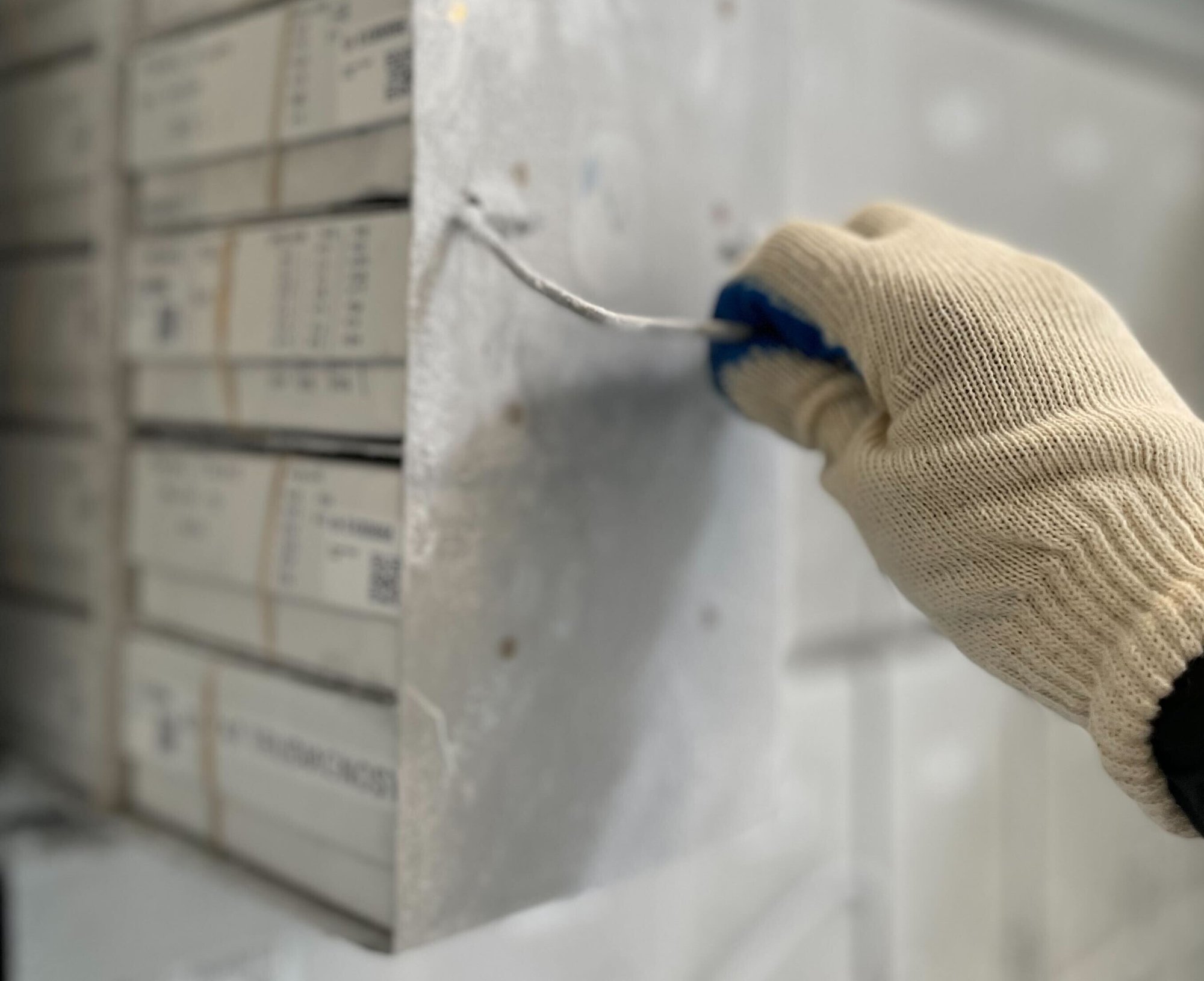 IMG_4621-1 IMG_4621-1