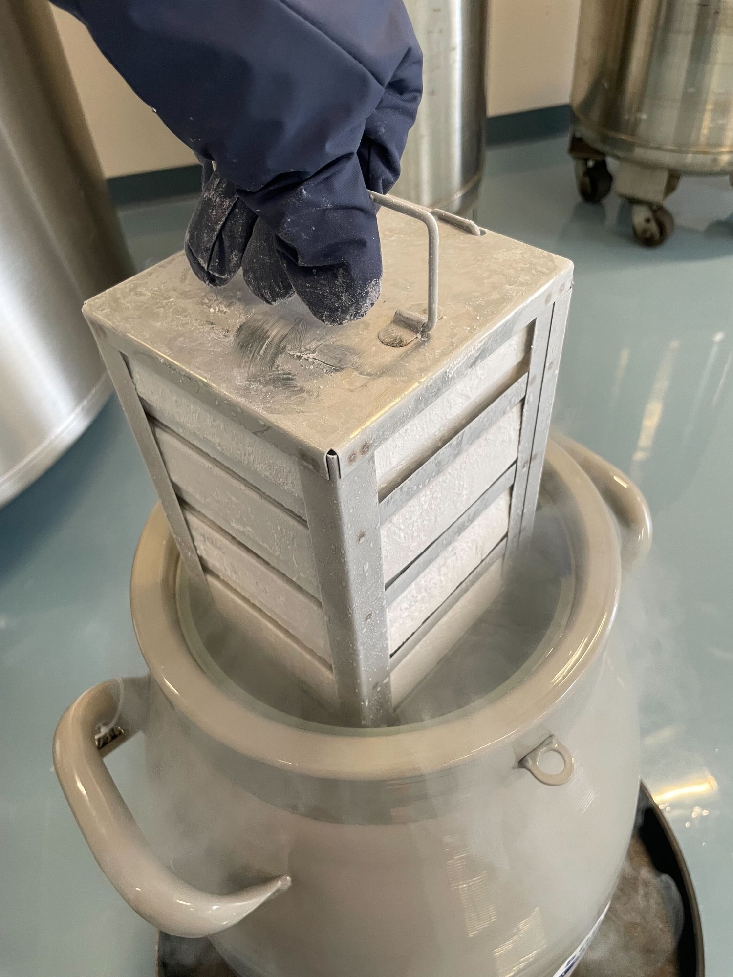 Cryogenic storage rack removed from dewar Cryogenic storage rack removed from dewar