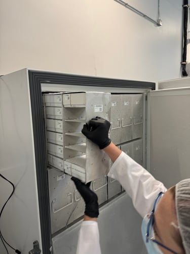 Freezer rack being placed into a validated –80 °C biostorage freezer at Trepte Biostorage. Freezer rack being placed into a validated –80 °C biostorage freezer at Trepte Biostorage.